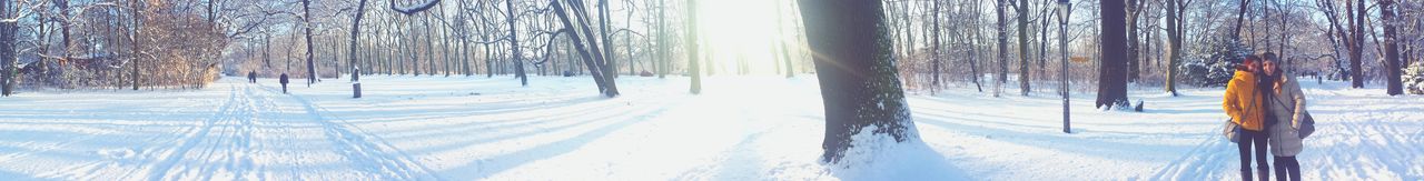 snow, winter, cold temperature, season, weather, covering, tree, tranquility, frozen, tranquil scene, beauty in nature, nature, landscape, white color, scenics, snow covered, covered, field, tree trunk, cold