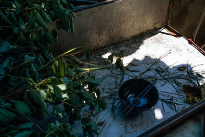 High angle view of potted plants in yard