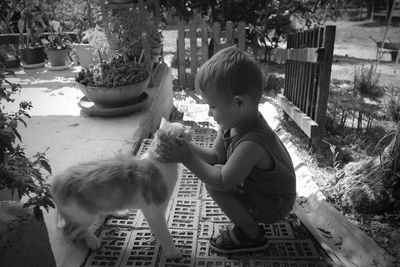 Side view of boy petting cat while crouching in yard