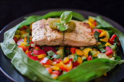 Close-up of cooked meat with chopped vegetables in plate