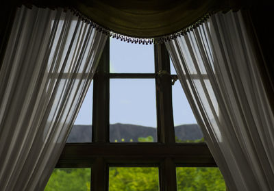 Close-up of window