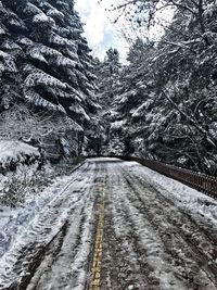 Snow covered road amidst trees