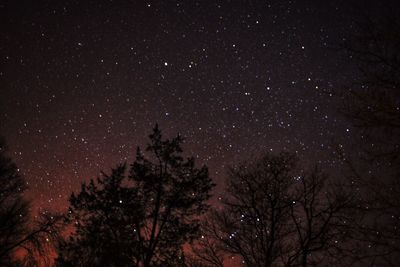 Low angle view of starry sky