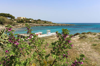 Scenic view of sea against clear sky