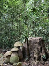 Wooden logs in forest