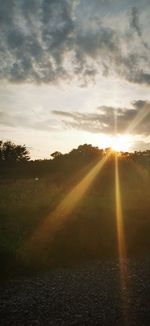 Sunlight streaming through trees on field against sky at sunset