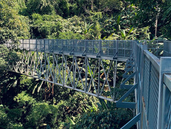 View of bridge in forest