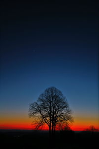 Silhouette bare tree on field against clear sky at sunset