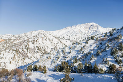 Snow-capped mountain peaks of the tien shan covered with snow on a frosty winter day in uzbekistan