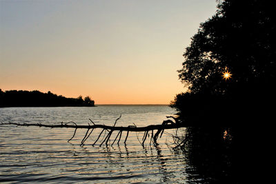 Silhouette trees by swimming pool against clear sky during sunset