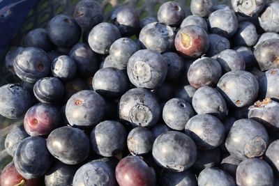Full frame shot of blueberries