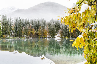 Scenic view of lake by trees during winter