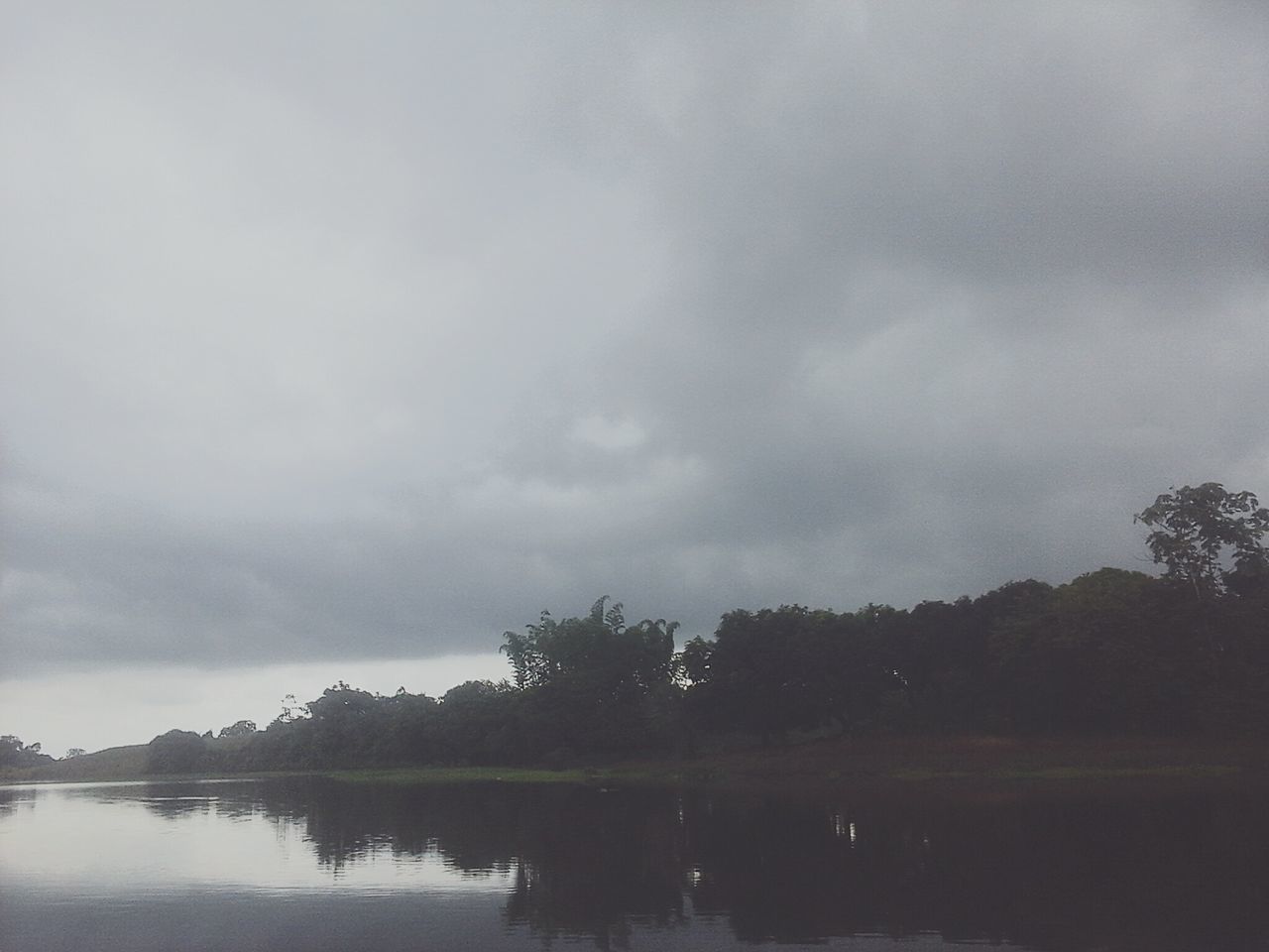 tree, reflection, sky, nature, water, lake, beauty in nature, cloud - sky, tranquil scene, tranquility, scenics, outdoors, no people, day