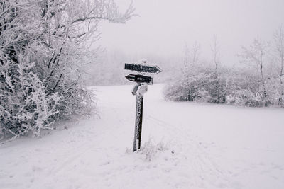 snow
