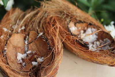 High angle view of coconuts