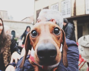 Portrait of dog outdoors