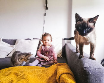 Baby on the couch with her two pets and cats