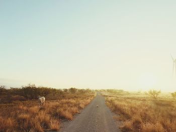 Road amidst field against clear sky