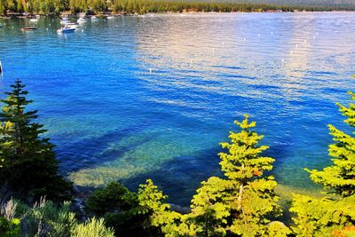 Scenic view of lake and trees