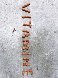 High angle view of sausages on white background