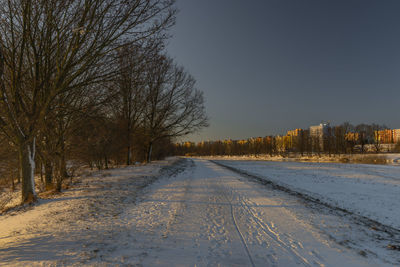 Bare trees on snow covered landscape