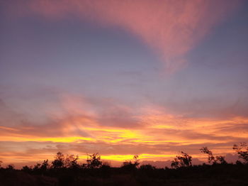 Silhouette trees on field against orange sky