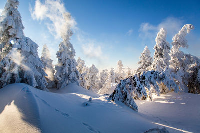 Panoramic view of snow covered mountains against sky