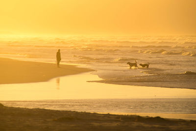 Silhouette of one person on beach during sunset