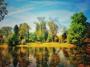 Scenic view of lake by trees against sky