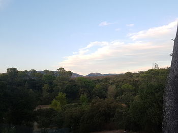 Trees and mountains against sky