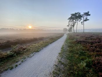 Road amidst field against sky during foggy weather