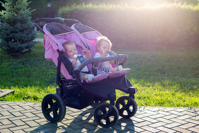 Identical little girls of 6 months of age in baby carriage on a summer day.