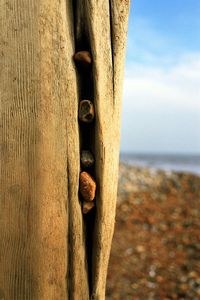 Close-up of rusty metal