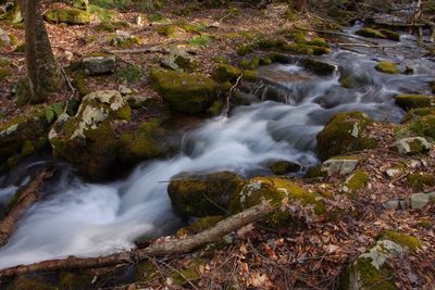 High angle view of stream flowing through landscape