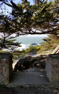 Scenic view of tree by mountain against sky