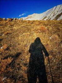 Rear view of man standing on field against sky