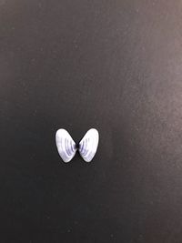 High angle view of white rose on floor