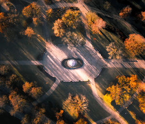 High angle view of trees during autumn