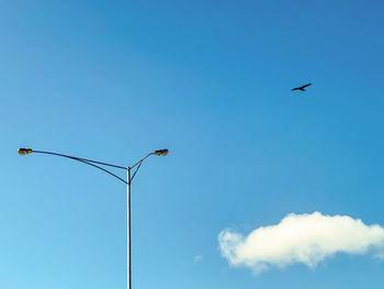 Low angle view of bird flying against blue sky