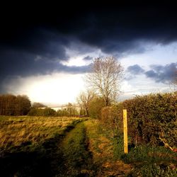 Scenic view of field against cloudy sky