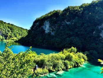 Scenic view of trees against clear blue sky