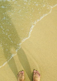 Low section of person standing on beach