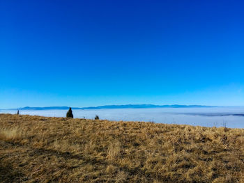 Scenic view of field against clear blue sky