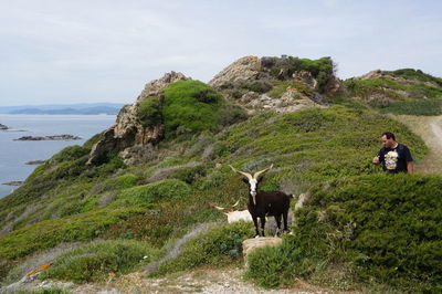 Man with goats