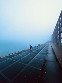 Rear view of man walking on road against clear sky. amsterdam morning