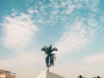 Low angle view of palm tree against sky