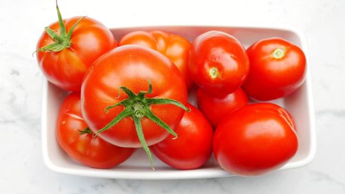 High angle view of tomatoes on table