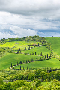 Winding road on a hill in tuscany, italy