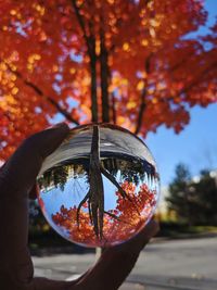 Close-up of hand holding maple leaf during autumn