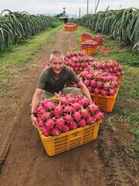 Portrait of farmer holding pitayas in crate at farm